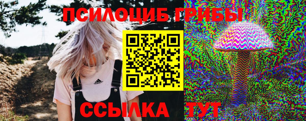 Нальчик  Галлюциногенные грибы Psilocybine cubensis  Вход с VPN 